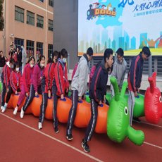 六宝典大全资料
